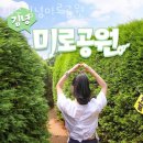 김녕초등학교 | 제주가볼만한곳 제주김녕미로공원 방문자 후기