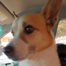 거제남서로 이미지