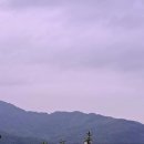 고령젓갈 Daum카페