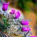 행복한 아침 이미지
