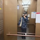 도도충무김밥 | 1월 일상