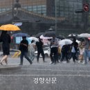 대서 이미지