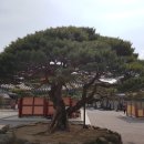 경보사 이미지