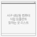 선주원남동 주민센터 주민정보이용실 | 서구 내당동 컴퓨터 식립 임플란트 잘하는 곳 리스트