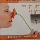 수피아체형관리 이미지