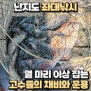 병기호 좌대낚시터 이미지