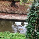 예쁘다보육원 이미지