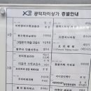 칭닌 이미지