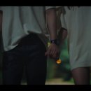 스텔라케이 이미지