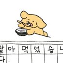 꼬르륵댕댕 이미지