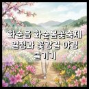 2024년 화순 꽃강길 버스킹 | 화순읍 화순봄꽃축제 일정과 꽃강길 야경 즐기기