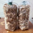 원통노인회관 이미지