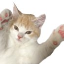 바이엘약국 이미지