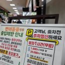 김포파주인삼농협 하나로마트 | - 사슴히의 나들이 : 김포 계양천 벚꽃 진짜 후기 (2026 실시간 개화상황, 계양천 벚꽃 축제, 김포 벚꽃...