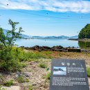 토끼와 거북이길 이미지