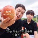 멍슈퍼 | 조치원 복숭아 슈퍼천중도 후기, 택배 마감 8월 24일