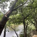 옥계정펜션 이미지