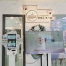 브룩스 캣 카페 이미지