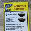 탁사정 | 제천 추천, 제천 맛집 송어회, 송어회, 탁사정 송어 후기, 탁사정 펜션, 제천 계곡, 제천 횟집, 제천...