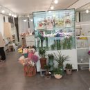 라팡플라워