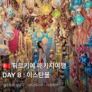 궁전당한약 | 튀르키예 8일차｜이스탄불 시내구경 ② 선택관광 미참여 후기·그랜드바자르·야경투어