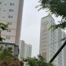 풀리페아파트 네이버블로그