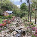 용인자연휴양림1 이미지