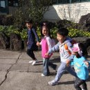 종달초등학교 병설유치원 이미지