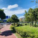 도련지석묘 2호 이미지