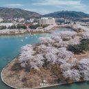 신평동344 | 4월 이것저것 (사고먹고보고)