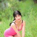 바람난고양이 이미지