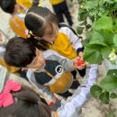 혜송유치원 이미지