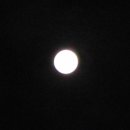 블루문(Blue Moon) Daum카페
