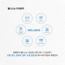 웰니스건강생활연구소 이미지