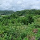 산내면평내마을 이미지