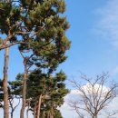 천안축구센터작은도서관 이미지