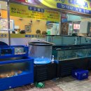 돼지네회센타 이미지