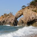몽돌해변 티스토리