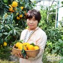 새별농장 이미지