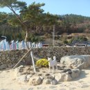 진도전통민박 이미지