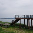 신성리생태공원 이미지