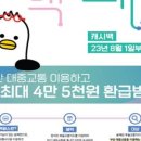동백차이 이미지