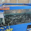 팔팔풍천민물장어 이미지