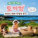 토끼썸 | 제주 구좌 카페 제주 아이랑 가볼만한 곳 토끼썸 피크닉 대여 인생샷 후기
