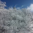 알펜시아 스키 & 스노우보드 | 용평스키렌탈 용평스키강습 용평리조크스키 알펜시아리조트강습 "스키911"