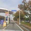 청산 단풍나무길 | 독립기념관 단풍나무 숲길 야간개장 방문 후기 - 천안아산 가볼 만한 곳