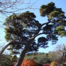 진영수산(벌교) | 호남의 5대 명산 천관산...
