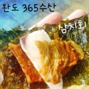 완도수산365