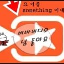 비바비디오 이미지