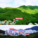 나무요양병원 이미지